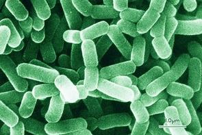 微信图片_20200603081056.jpg 微信图片_20200603081056.jpg