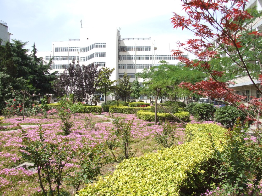 花团锦簇的中心花园及门诊大楼。拍摄时间：2007年5月17日，地点：市九院，拍摄者：胡正斌。 (2).JPG