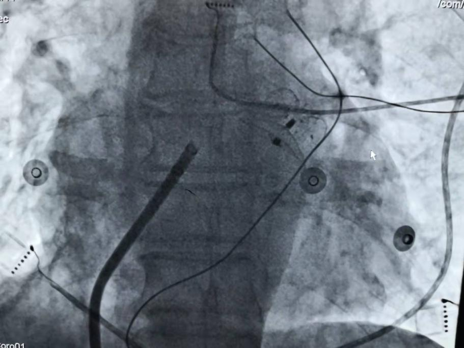 图片3.png 图片3.png